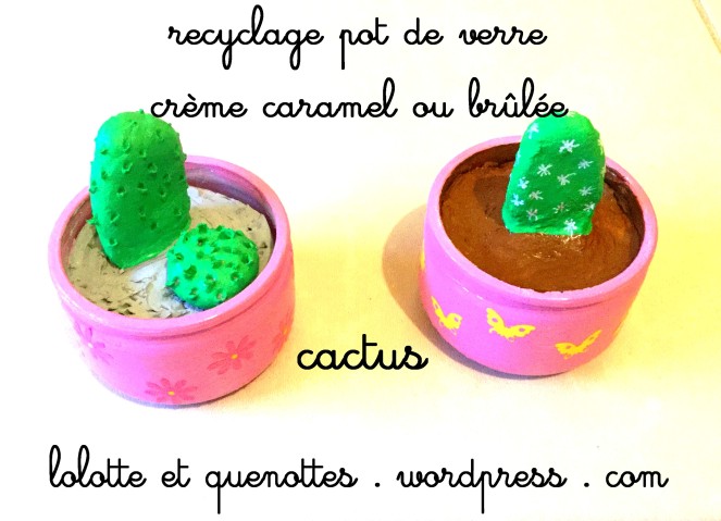 cactus pots de verre